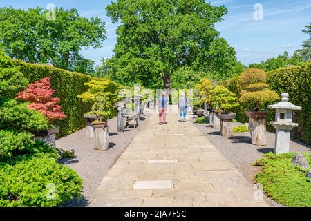 WISLEY, SURREY,  UK MAY 22, 2022: Visitors enjoy sunny day in RHS garden in Wisley, one of five gardens run by the Society Stock Photo