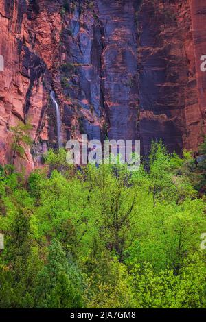 Waterfall and spring foliage at Emerald Pools in Zion National Park in Utah Stock Photo