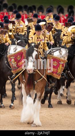 Horse Guards Parade, London, UK. 28 May 2022. The Colonel’s Review takes place, reviewed by HRH the Duke of Cambridge, and is the final rehearsal for Trooping the Colour which will take place on a weekday - Thursday 2nd June - for the Platinum Jubilee year. This year, the honour of trooping their colour falls to the Irish Guards and as Colonel of the regiment the Duke leads the final review. Image: Drum Horse of the Band of the Household Cavalry. Credit: Malcolm Park/Alamy Live News Stock Photo