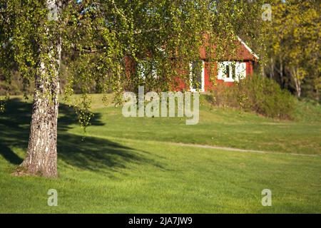 DALARNA, SWEDEN ON MAY 16, 2022. View of a red wooden building, park in the Swedish landscape. Editorial use. Stock Photo