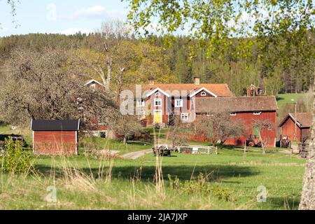 DALARNA, SWEDEN ON MAY 16, 2022. View of old red wooden buildings, and farmland in the Swedish landscape. Editorial use. Stock Photo