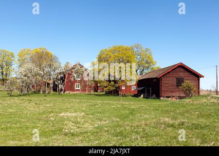 DALARNA, SWEDEN ON MAY 16, 2022. View of old red wooden buildings, and farmland in the Swedish landscape. Editorial use. Stock Photo