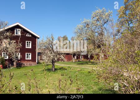 DALARNA, SWEDEN ON MAY 16, 2022. View of old red wooden buildings, and farmland in the Swedish landscape. Editorial use. Stock Photo