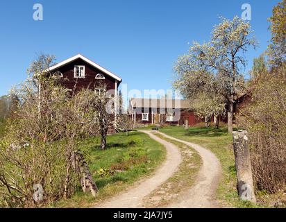 DALARNA, SWEDEN ON MAY 16, 2022. View of old red wooden buildings, and farmland in the Swedish landscape. Editorial use. Stock Photo