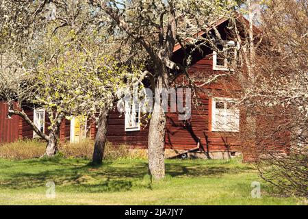 DALARNA, SWEDEN ON MAY 16, 2022. View of a red wooden building, park in the Swedish landscape. Editorial use. Stock Photo