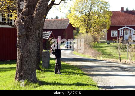 DALARNA, SWEDEN ON MAY 16, 2022. View of red wooden buildings, gravel road, and an unidentified lady. Editorial use. Stock Photo