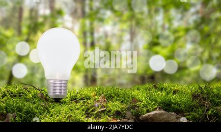 Light bulb in nature against blurred green forest background. Stock Photo