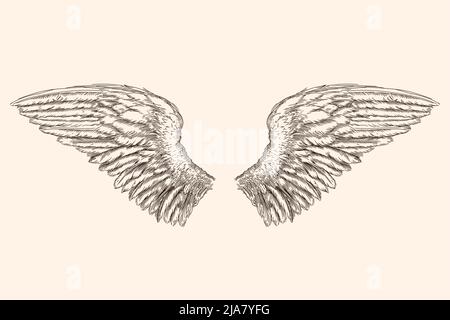 Two spread wings of an angel made of feathers isolated on a beige background. Stock Vector