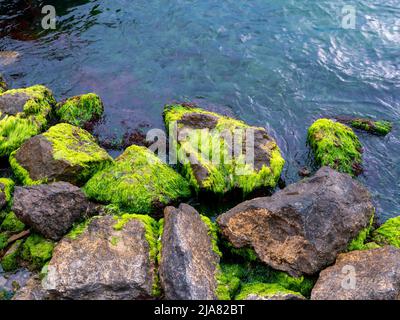 mossy rocks by the sea Stock Photo