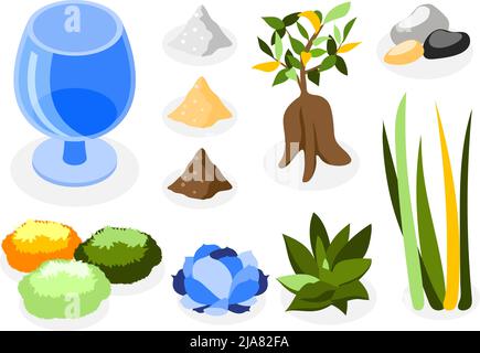 Plants decorative set with houseplants glass package and stones isometric isolated vector illustration Stock Vector
