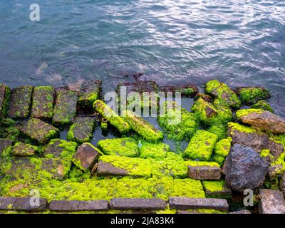 mossy rocks by the sea Stock Photo
