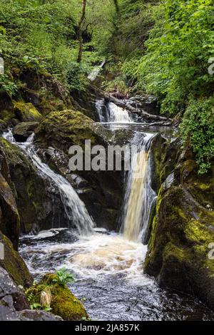 The first Pecca Falls Waterfall on the Ingleton Waterfalls Trail, Yorkshire Dales, North Yorkshire, England Stock Photo