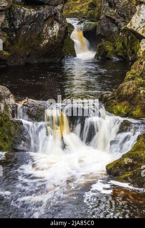 Snow Falls on the River Doe on the Ingleton Waterfalls Trail in the Yorkshire Dales National Park, North Yorkshire, England,Uk Stock Photo