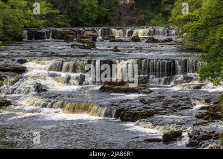 Aysgarth Upper Falls in the Yorkshire Dales National Park on the River Ure in Wensleydale, England, UK Stock Photo