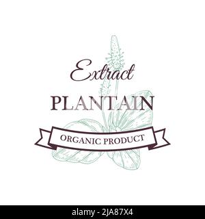 Hand drawn vintage Plantain extract design isolated on white. Vector illustration in sketch style Stock Vector