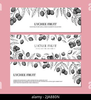 Set of hand drawn lychee horizontal designs for packaging, banners, advertising, newsletters. Vector illustration in sketch style Stock Vector