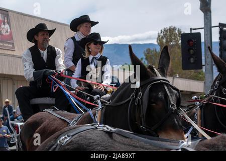 The Mule Days Parade is a staple of the Mule Days celebration in Bishop