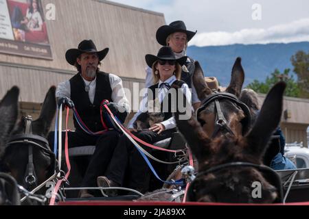 The Mule Days Parade is a staple of the Mule Days celebration in Bishop