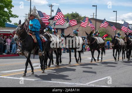 The Mule Days Parade is a staple of the Mule Days celebration in Bishop
