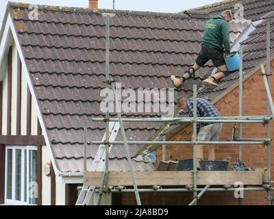 Working at height: workmen repair a house roof by climbing and kneeling on the tiles after accessing the roof via scaffolding. Stock Photo