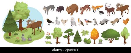 Isometric forest animal big set with isolated icons of flora and fauna representatives on blank background vector illustration Stock Vector
