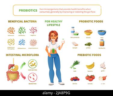 Probiotics infographics cartoon set with female character surrounded by isolated icons of intestinal microflora bacteria foods vector illustration Stock Vector