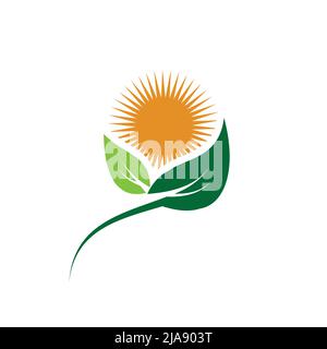 ecology logos of green leaf nature element icon on white background .vector illustrator Stock Vector
