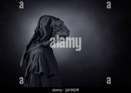 Reptile in hooded cloak at night over dark misty background Stock Photo