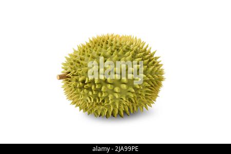 The fruit durian, delicious fruit, 3d rendering. Computer digital drawing. Stock Photo