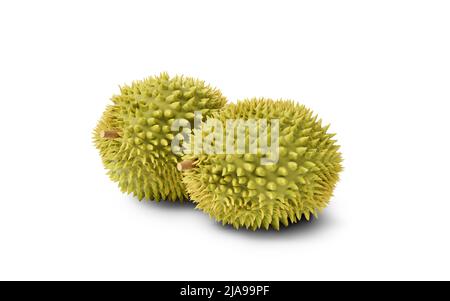 The fruit durian, delicious fruit, 3d rendering. Computer digital drawing. Stock Photo