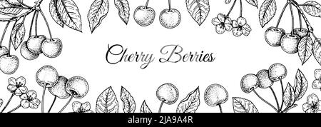 Hand drawn Cherry berries design for packaging. Vector illustration in sketch stile Stock Vector