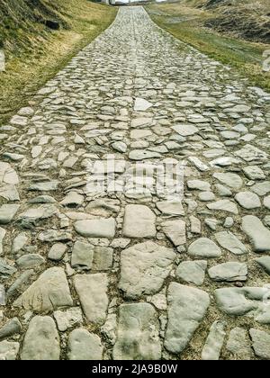 ancient granite paved road and green grass Stock Photo