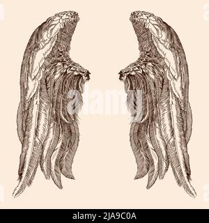 Two spread wings of an angel made of feathers isolated on a beige background. Stock Vector