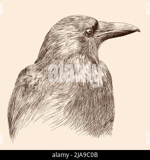 Hand drawing black raven. Sketch on a beige background. Stock Vector
