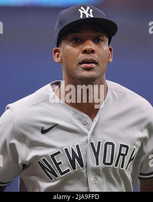 New York Yankees left fielder Juan Soto walks on the dugout during a ...