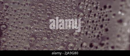 Many Water Rain Drops wet window condensation on glass. Fresh background. Textures formed by bubbles. Collection clear surface. Abstract real photo Stock Photo