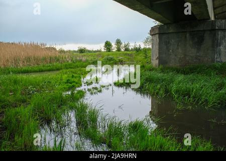 Landscape of a shallow river under a bridge. Stock Photo