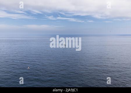 Metaphor for solitude, loneliness and purity: white yacht with white sail, silver gull in flight over Bay of Biscay Stock Photo