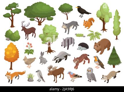 Isometric big forest animal set with isolated icons of forest habitants with birds trees and flowers vector illustration Stock Vector
