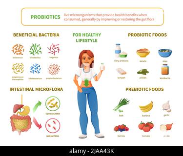 Probiotics infographics cartoon set with female character surrounded by isolated icons of intestinal microflora bacteria foods vector illustration Stock Vector