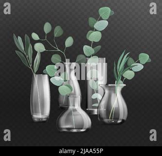 Dark transparent background with green bunches of eucalyptus in different glass vases realistic vector illustration Stock Vector