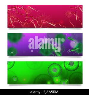 Bacteria shapes set of three horizontal banners with artwork and realistic images of colorful microbes microorganisms vector illustration Stock Vector