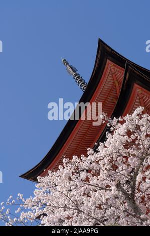 Hokoku Shrine aka Toyokuni Shrine Five-Story Pagoda with cherry blossom 厳島神社 五重塔 Miyajima Island aka Itsukushima, Hiroshima Bay, Western Honshu, Japan Stock Photo