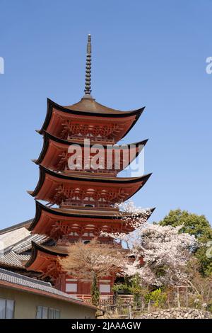 Hokoku Shrine aka Toyokuni Shrine Five-Story Pagoda with cherry blossom 厳島神社 五重塔 Miyajima Island aka Itsukushima, Hiroshima Bay, Western Honshu, Japan Stock Photo