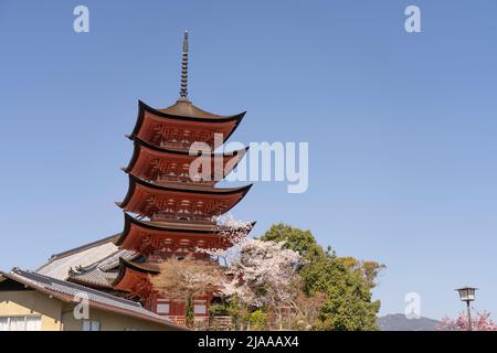 Hokoku Shrine aka Toyokuni Shrine Five-Story Pagoda with cherry blossom 厳島神社 五重塔 Miyajima Island aka Itsukushima, Hiroshima Bay, Western Honshu, Japan Stock Photo