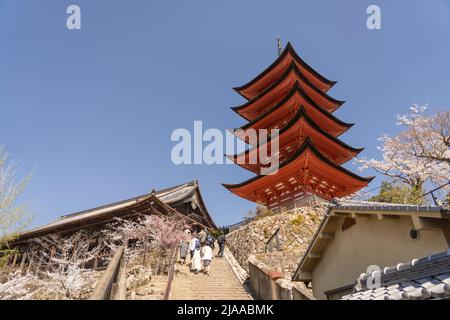 Hokoku Shrine aka Toyokuni Shrine Five-Story Pagoda with cherry blossom 厳島神社 五重塔 Miyajima Island aka Itsukushima, Hiroshima Bay, Western Honshu, Japan Stock Photo