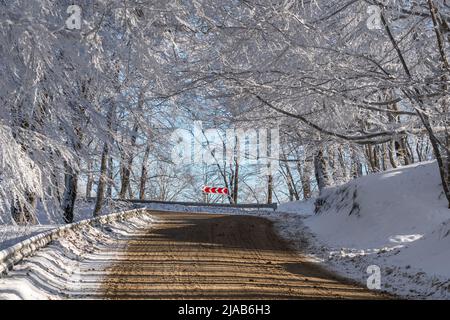 Road in Sabaduri forest with covered snow. Winter time. Landscape Stock Photo