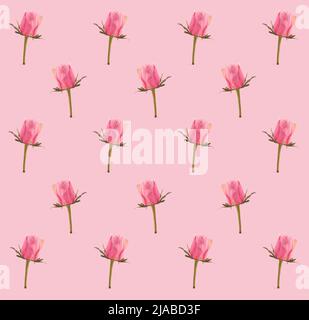 Floral seamless pattern made of pink rose flowers in bloom with green leaves on pastel pink background. Minimal spring texture. Valentine’s Day, Women Stock Photo