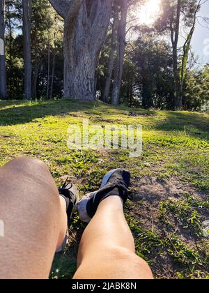 Relaxation in the midst of nature, at sunset. A warm light energizes every captured moment. Stock Photo