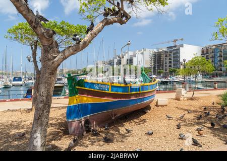 Msida, Malta - May 29th 2022: A traditional Maltese fishing boat called a Luzzu on land near the marina and a lot of pigeons.. Stock Photo